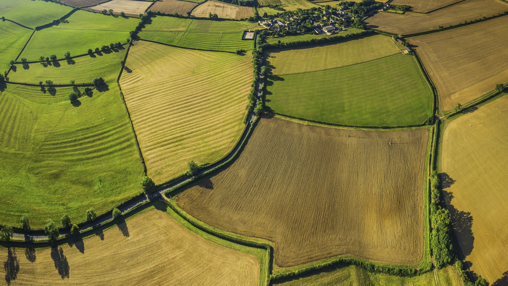 Aerial view of Irish farmland showing patchwork fields divided by hedgerows