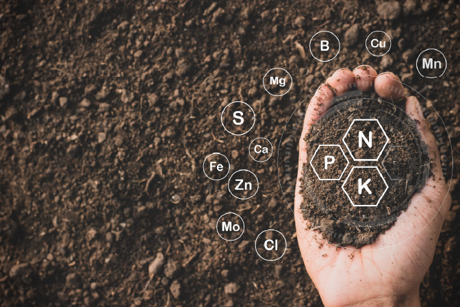Hand holding soil with chemical symbols overlay